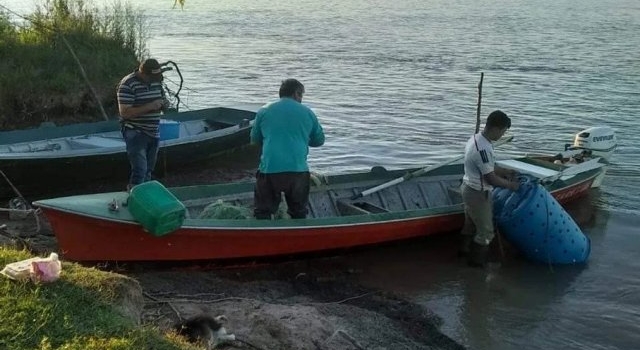 Un biólogo analiza la bajante histórica del Paraná y cómo afecta a la pesca