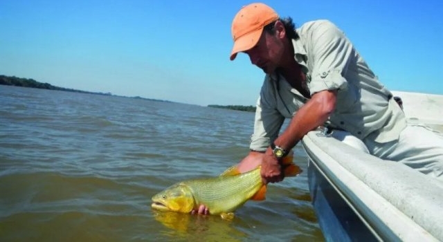 Corrientes: Disponen una nueva veda extraordinaria de pesca