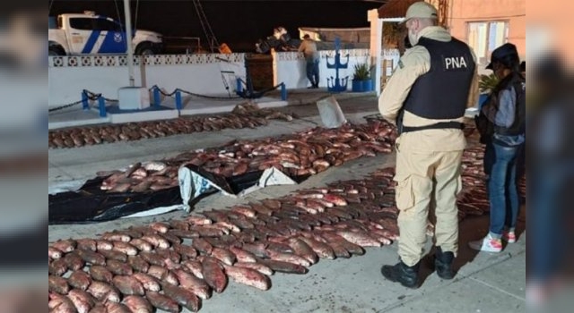 Golpe a la pesca furtiva en Ibicuy, incautan tres mil kilos de sábalos