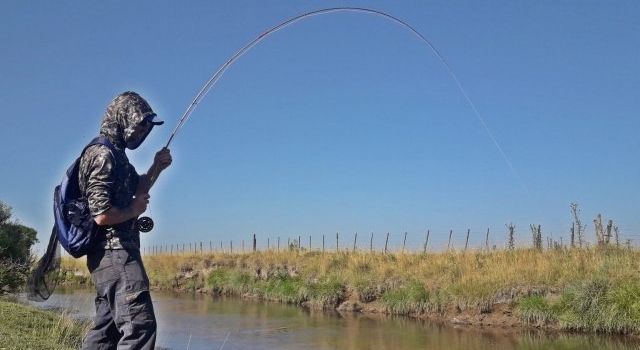 Aumentan un 300 % las licencias de pesca en Buenos Aires