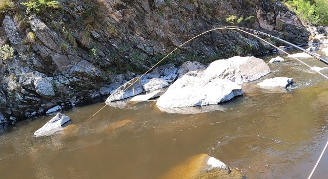 Pesca de truchas en Sierras de Córdoba