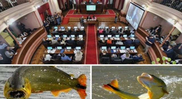 Aprobaron Proyecto que Restringe la Pesca del Dorado para su Preservación