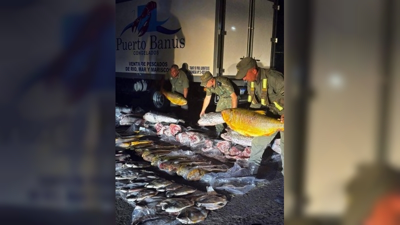 Tensión y polémica en Corrientes por el decomiso de 700 kilos de pescado