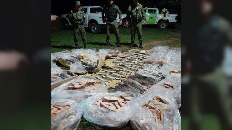 Secuestro de más de 300 kg de pescado ilegal en Ituzaingó