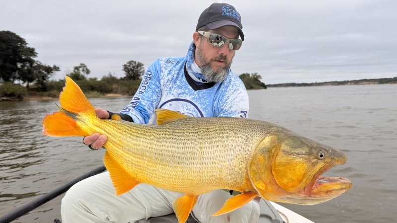 Pesca de dorados en el Alto Paraná: cómo está el río en Empedrado e Itá Ibaté
