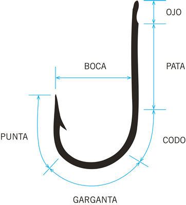 Anatomía del anzuelo